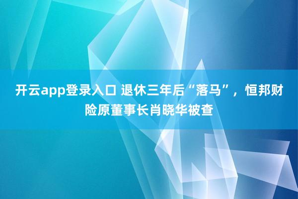 开云app登录入口 退休三年后“落马”，恒邦财险原董事长肖晓华被查